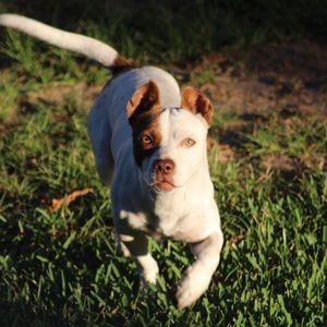 Meet your Posher, Eddie